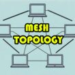 mesh topology