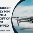 IS THIS BUDGET FRIENDLY MINI DRONE A GREAT GIFT OR JUST OVERHYPED